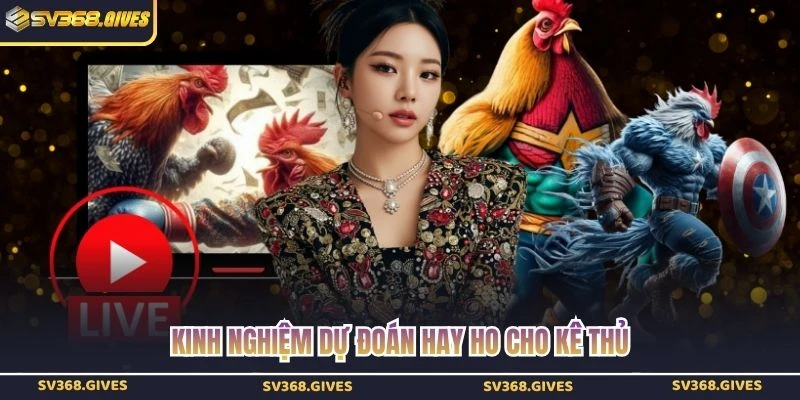 Kinh nghiệm dự đoán hay ho cho kê thủ