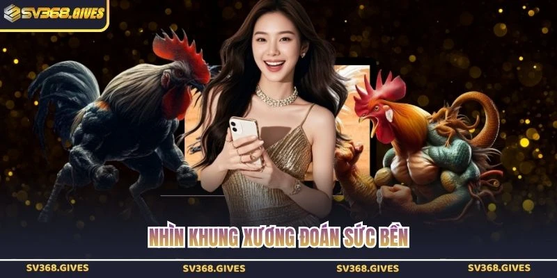 Nhìn khung xương đoán sức bền