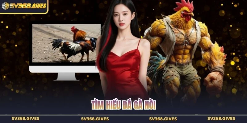 Tìm hiểu đá gà nòi